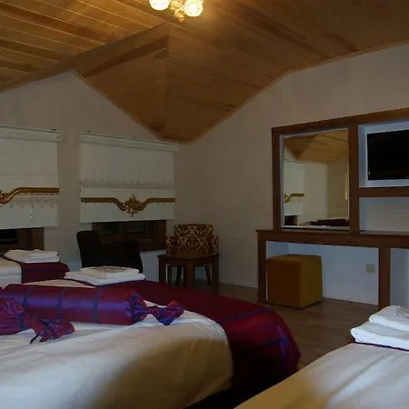 Hotel Ayder